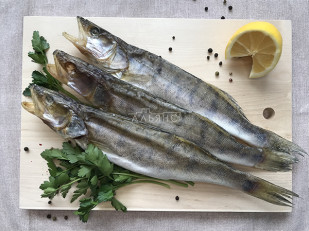 Вобла вяленая астраханская крупная: Судак вяленый